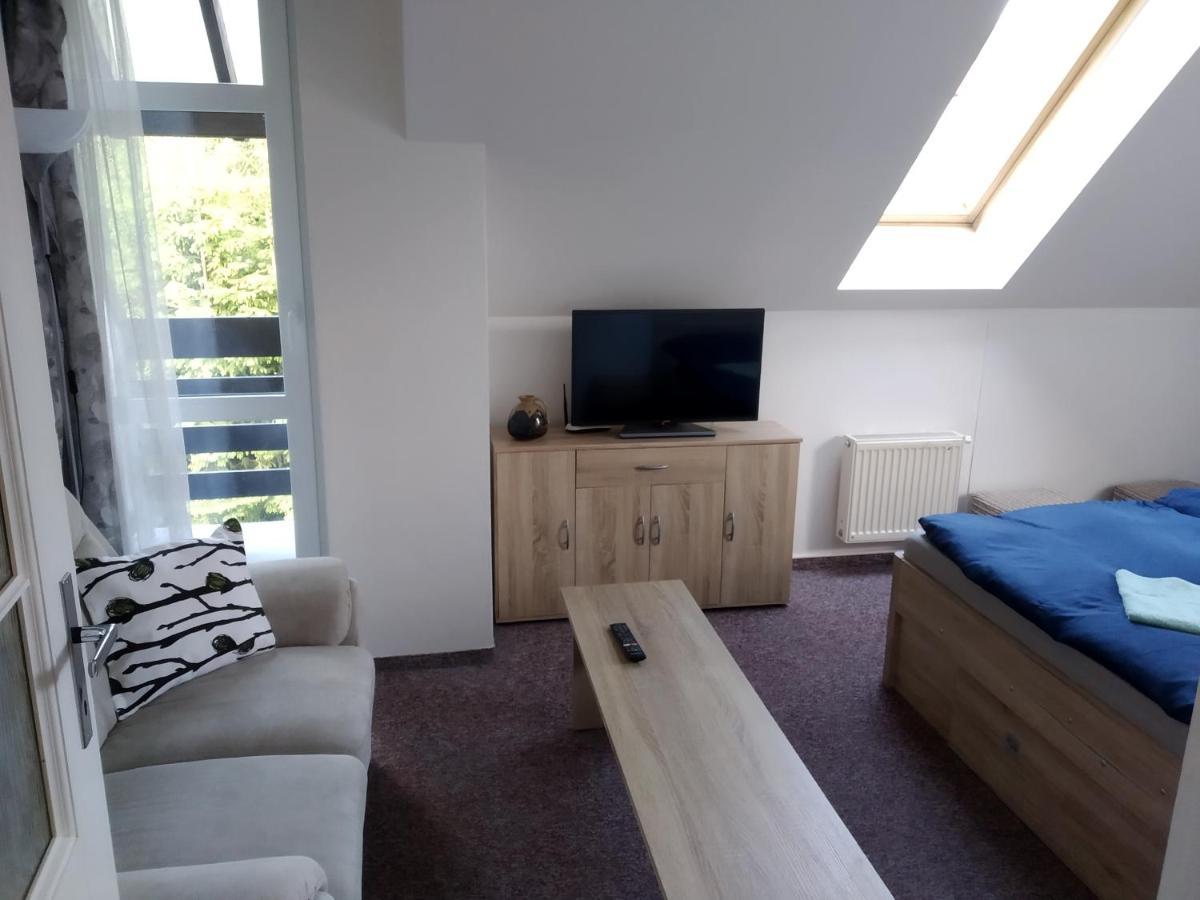 Apartman Violeta Harrachov Exterior foto