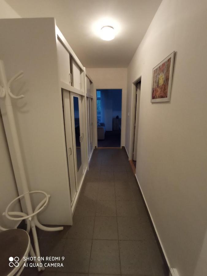 Apartman Violeta Harrachov Exterior foto