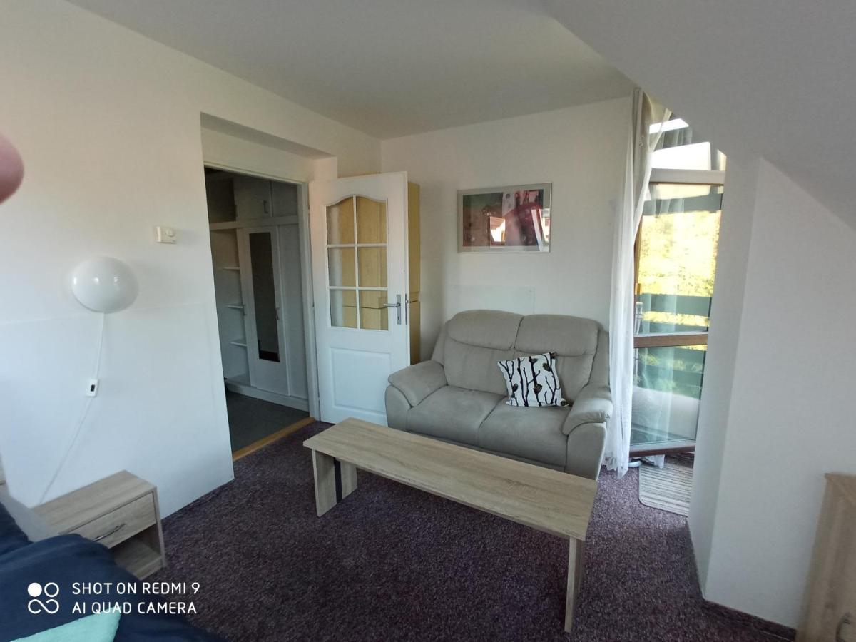 Apartman Violeta Harrachov Exterior foto